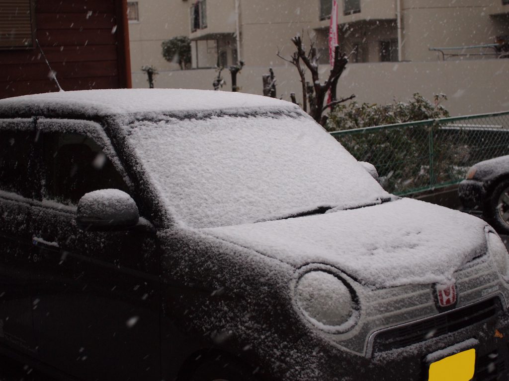 福岡でも雪